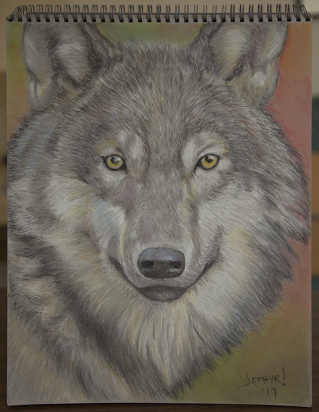 Wolf - Pastel Pencil Photo Study - Copyright 2017, Jephyr (Jeff Curtis), All Rights Reserved